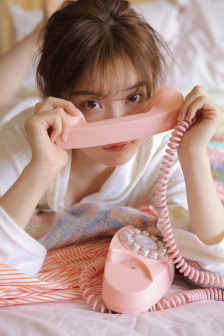 特务搜查官风子